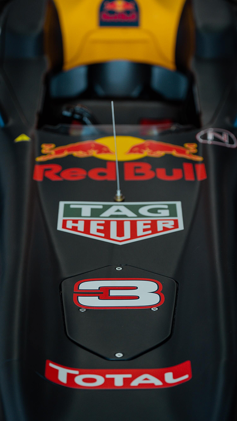 Oracle Red Bull Racing RB6